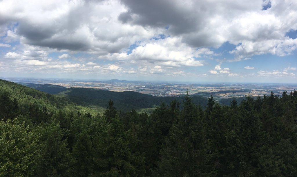Bukowa Kalenica