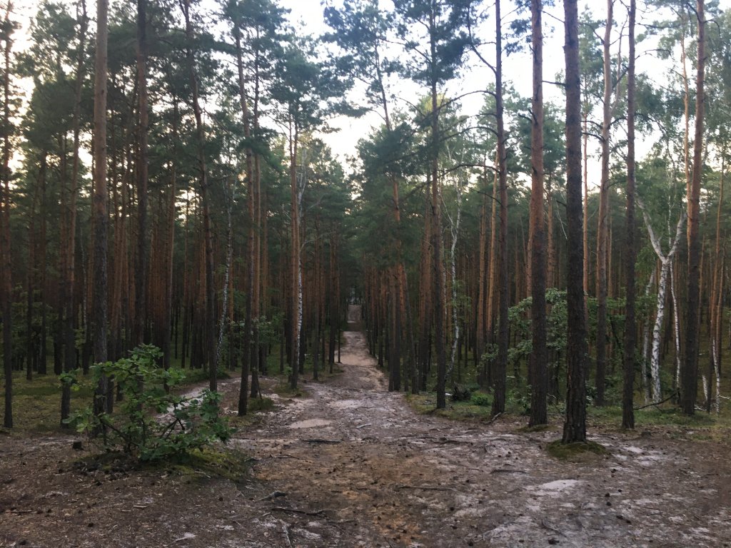 17km z Justyn