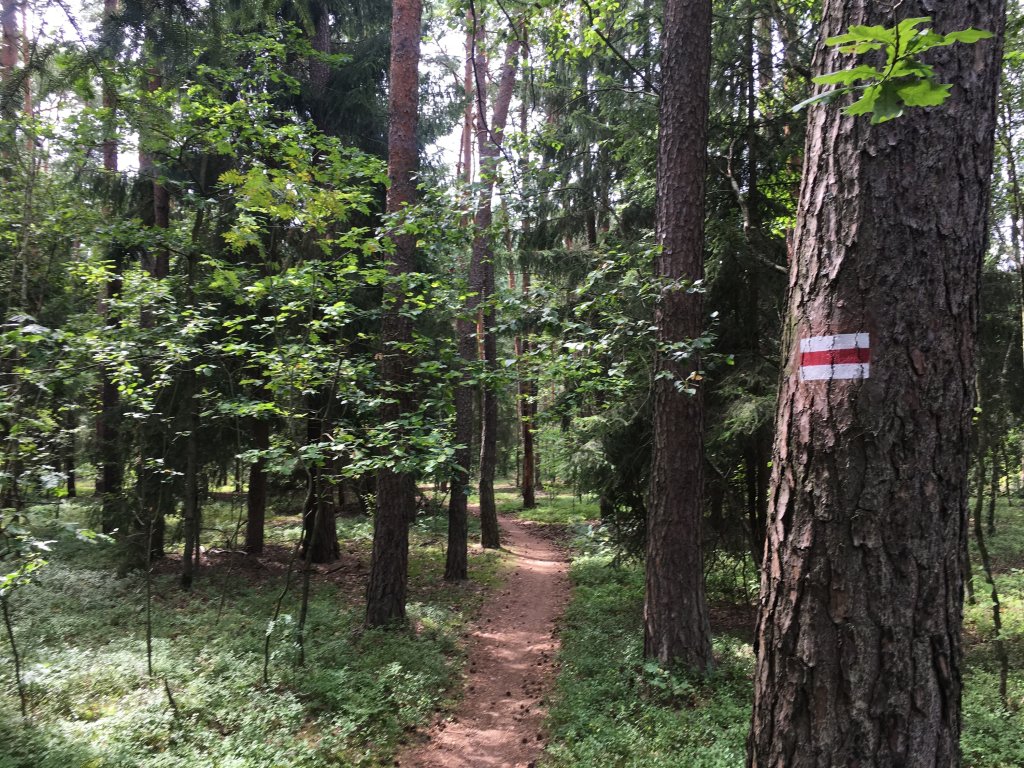 12 km z Kasi