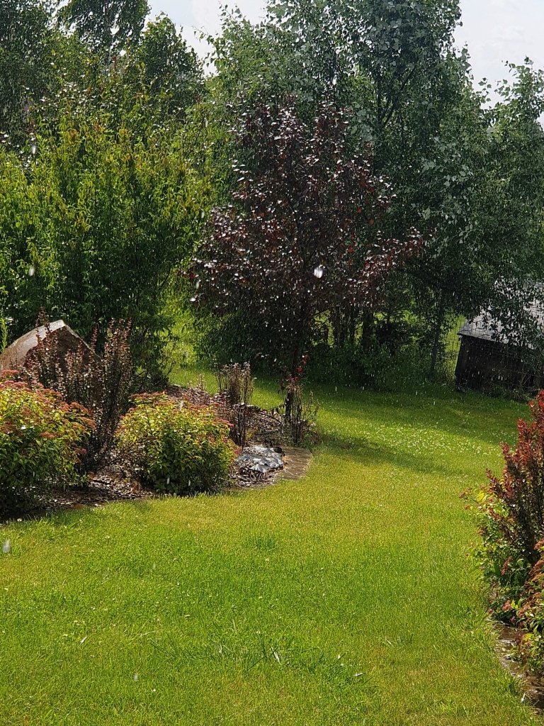 czas szybko leci ...ju w domu