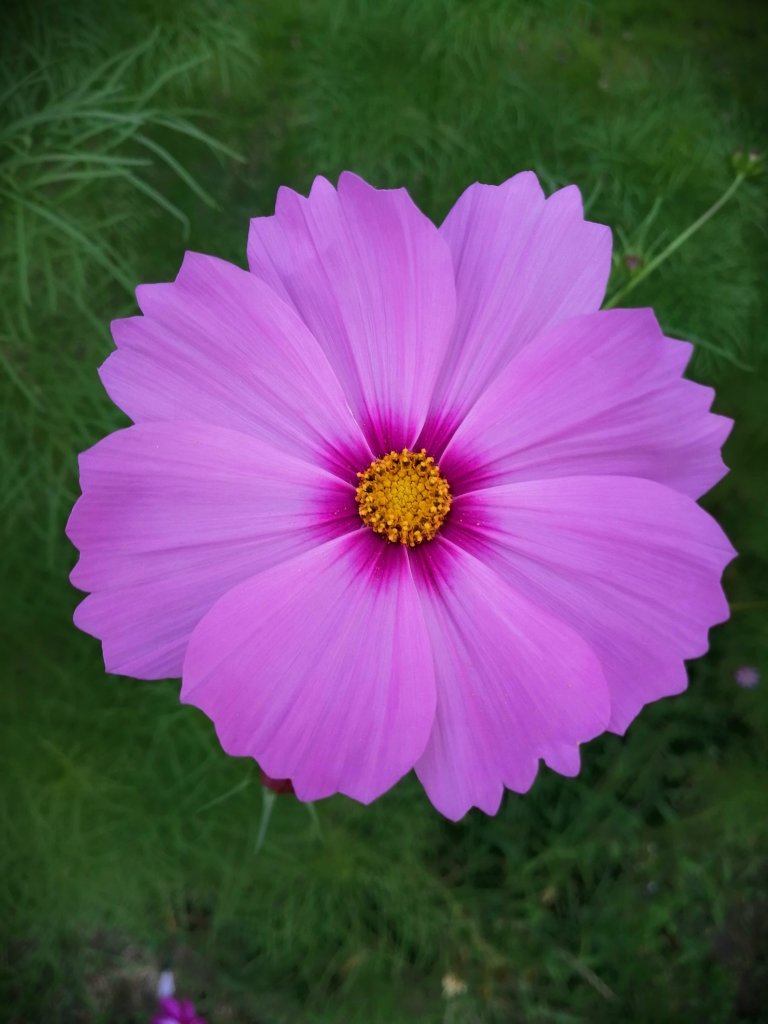 The last breath of summer.