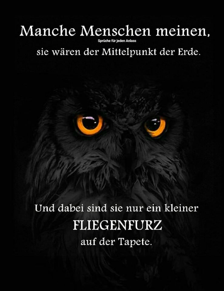 Hallo Welt!
