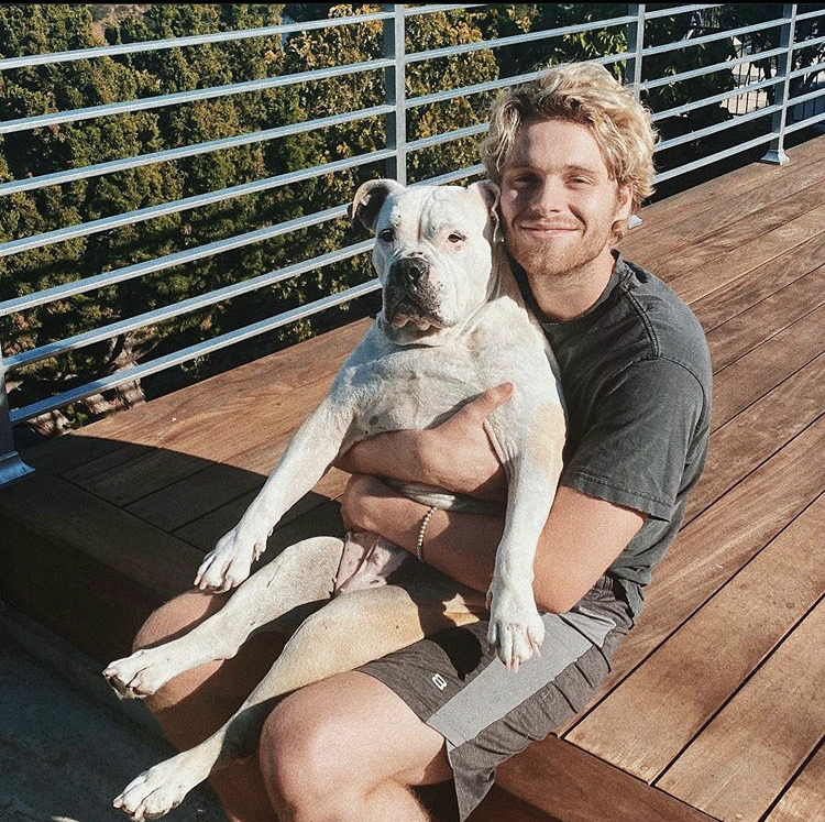 Luke Hemmings.