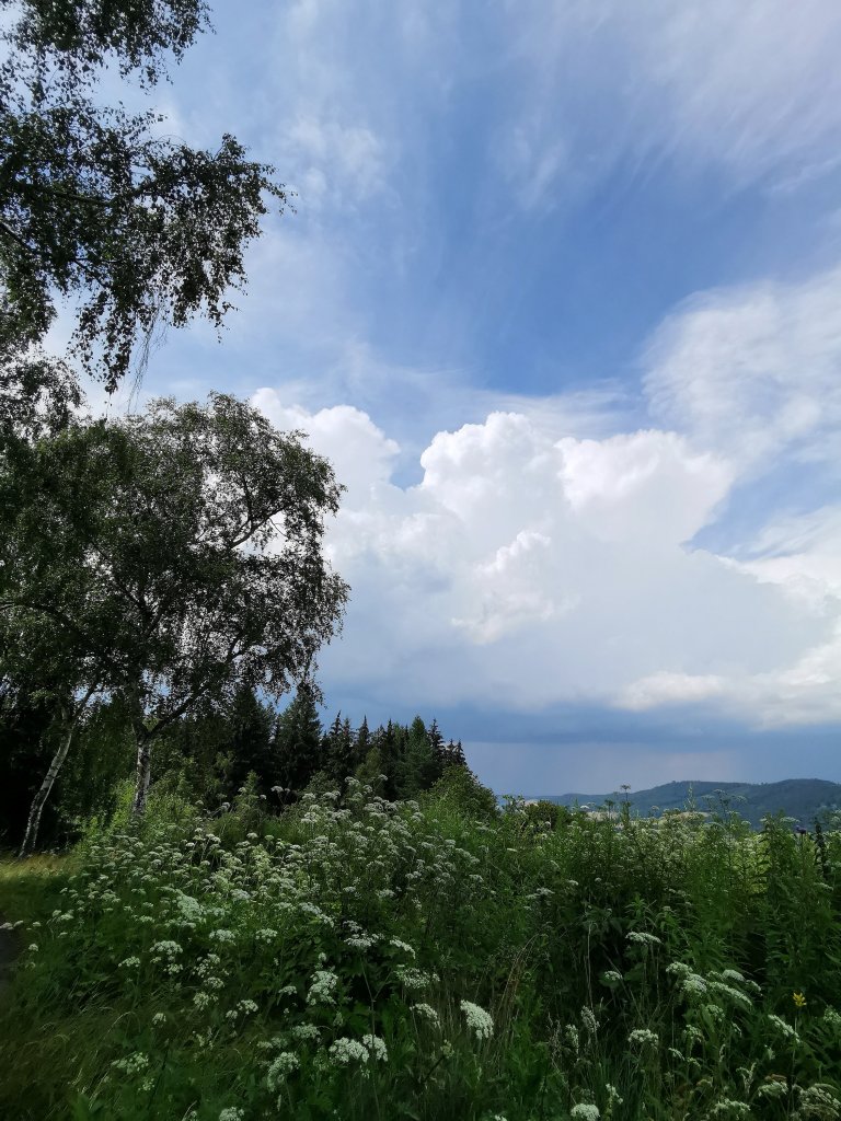 Tylko bkitnego nieba... 