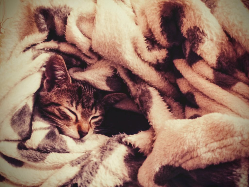 *.*