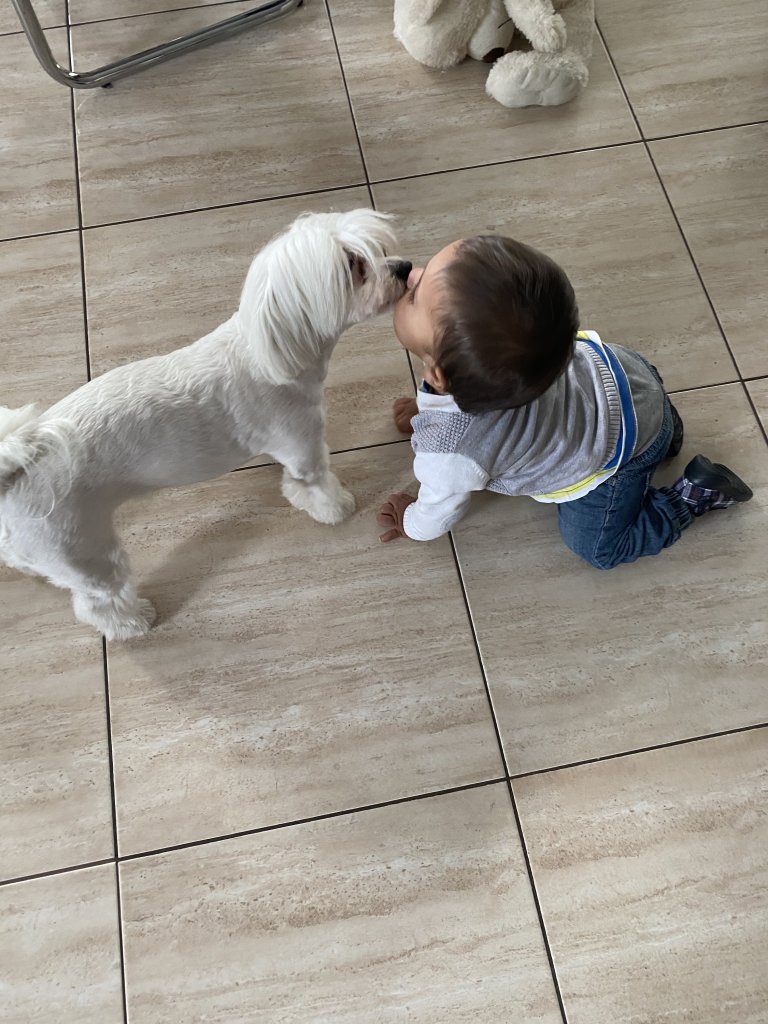 Kiss 