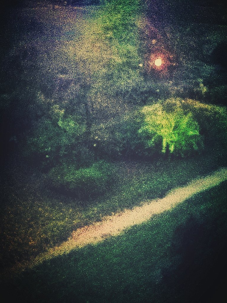 Kltwa bytu prymitywnego