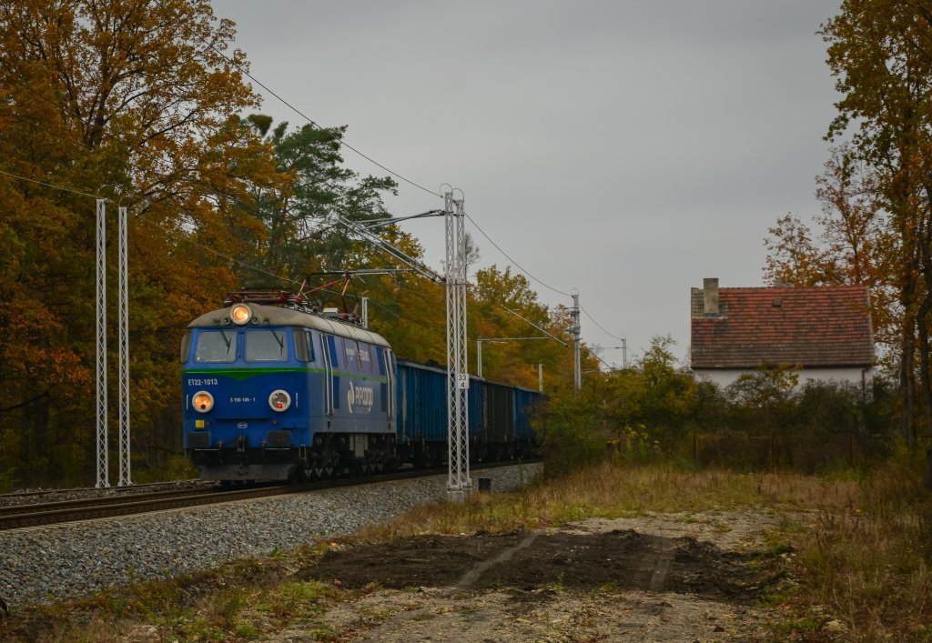 Byczek 