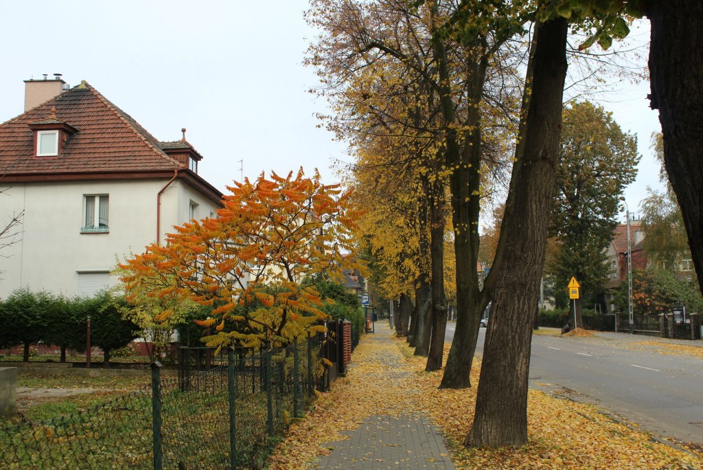 Tczew - ulica Badowska
