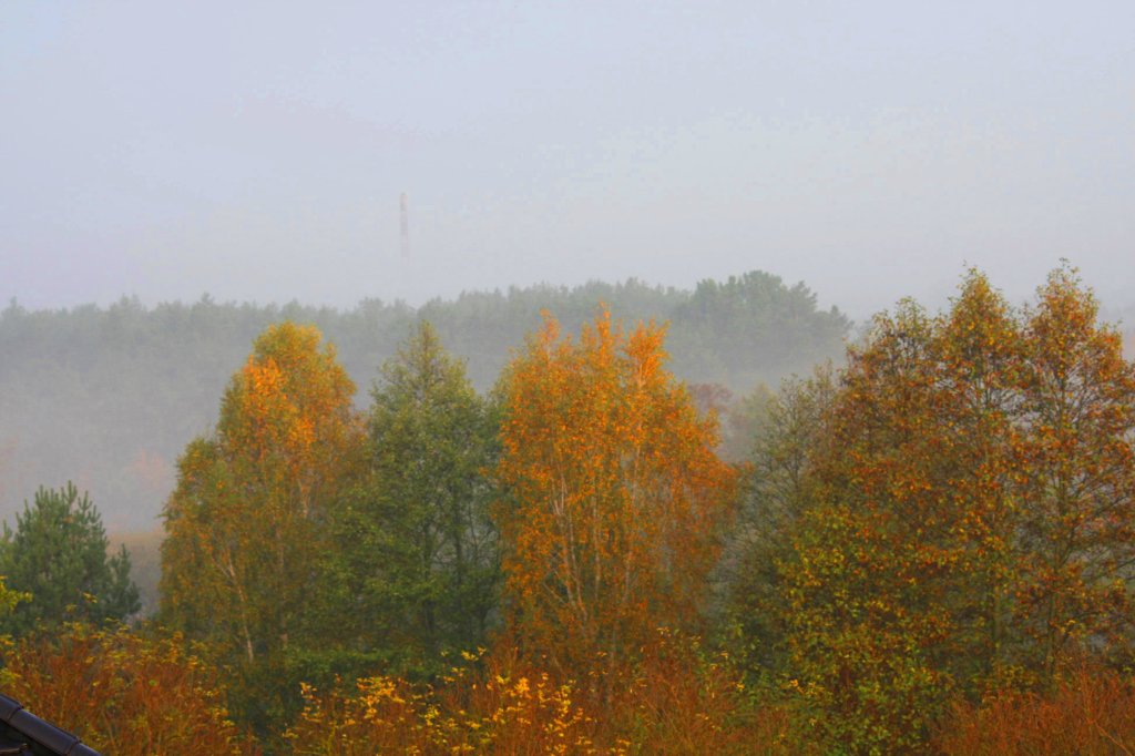 Jesienne mgy , widok z okna