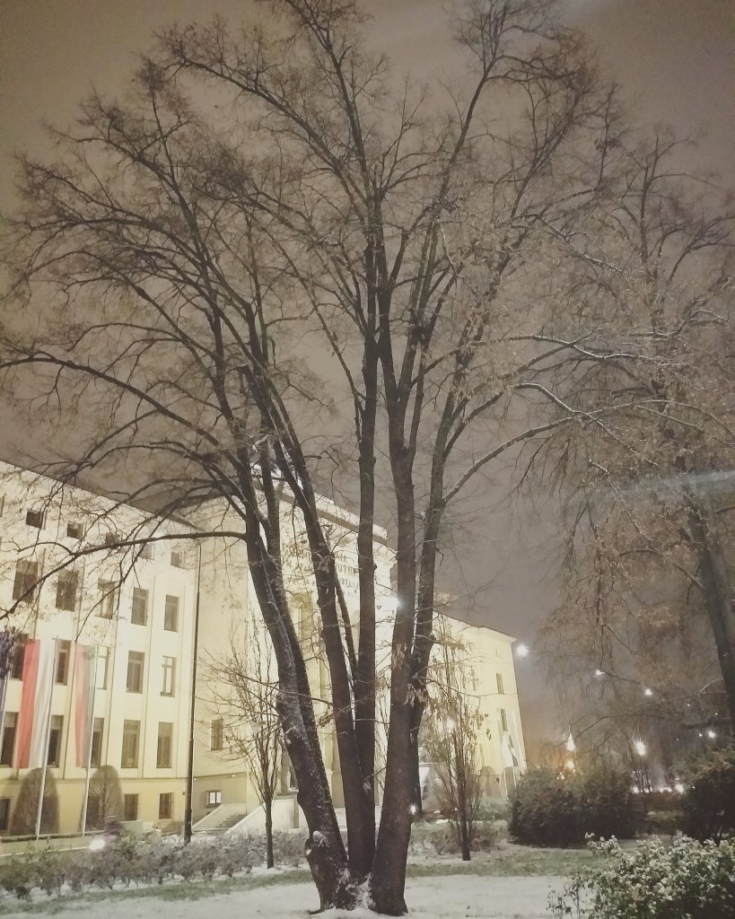 1021. 