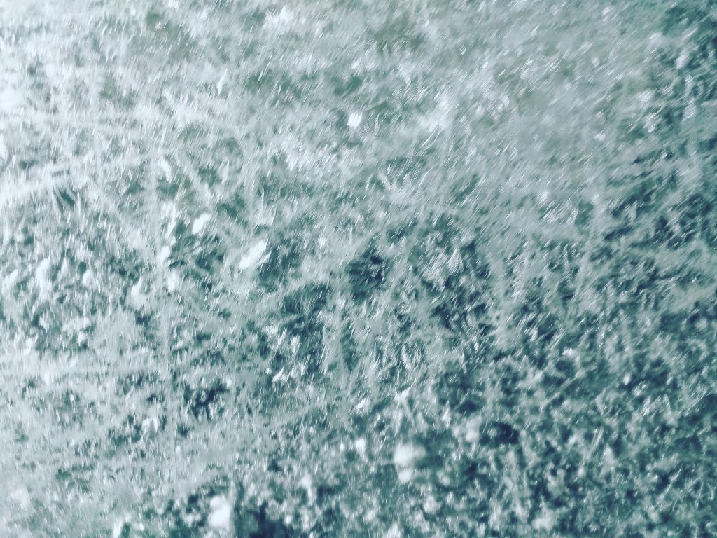 1031.