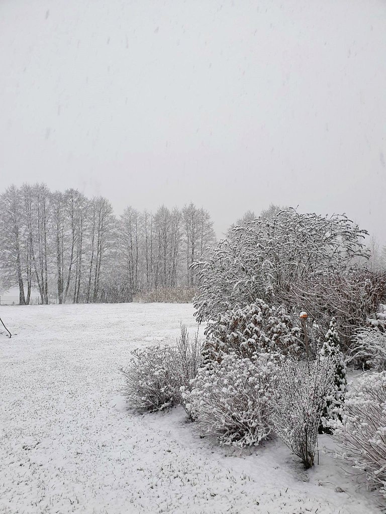 Napadao, zasypao , jest biao!