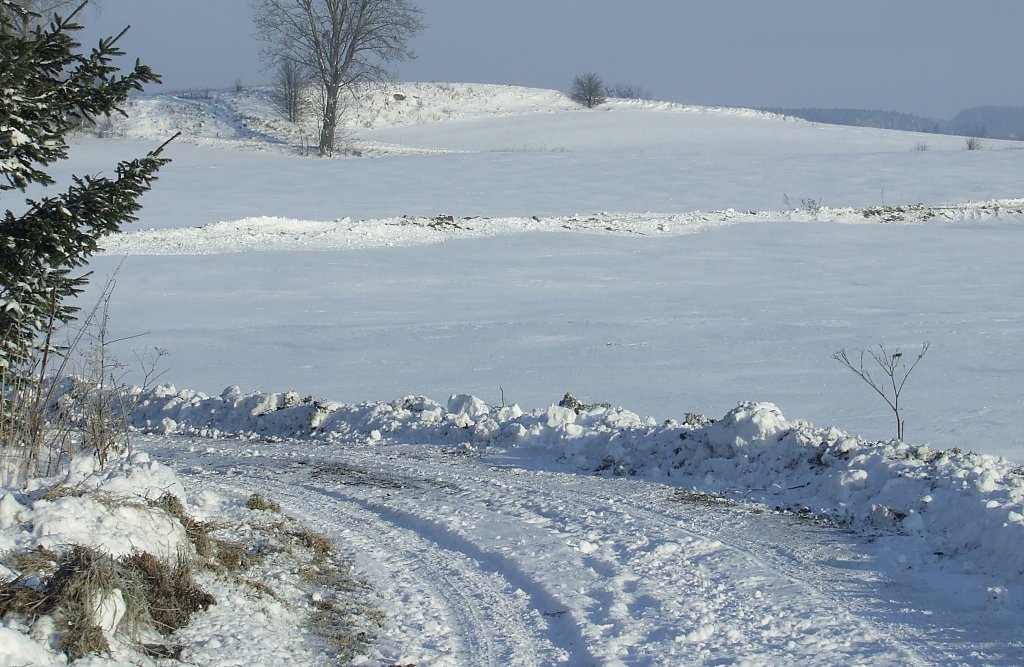 Odkopani.