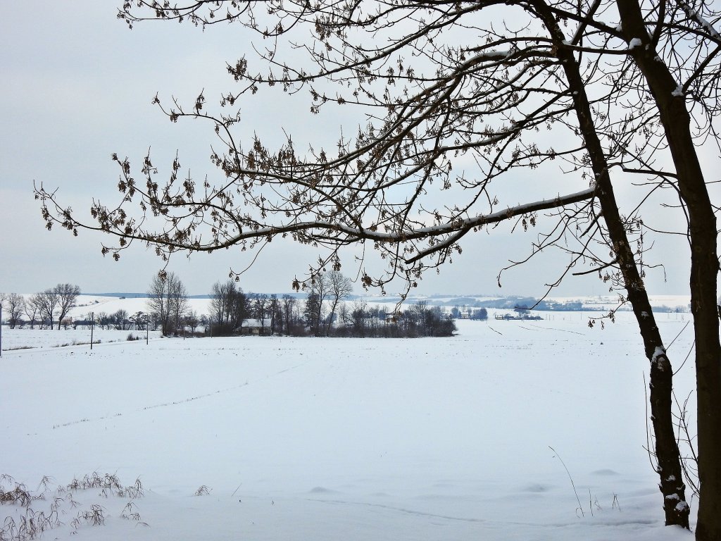 1710.