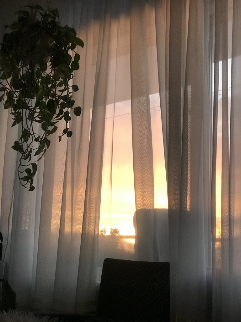 22/01/2021