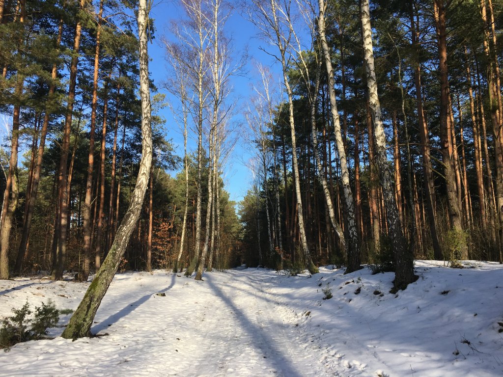 12 km w mokrym bucie