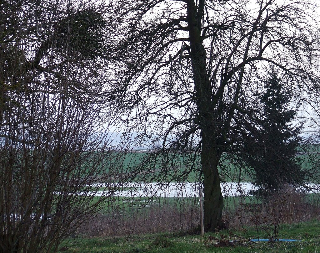 Stycze.