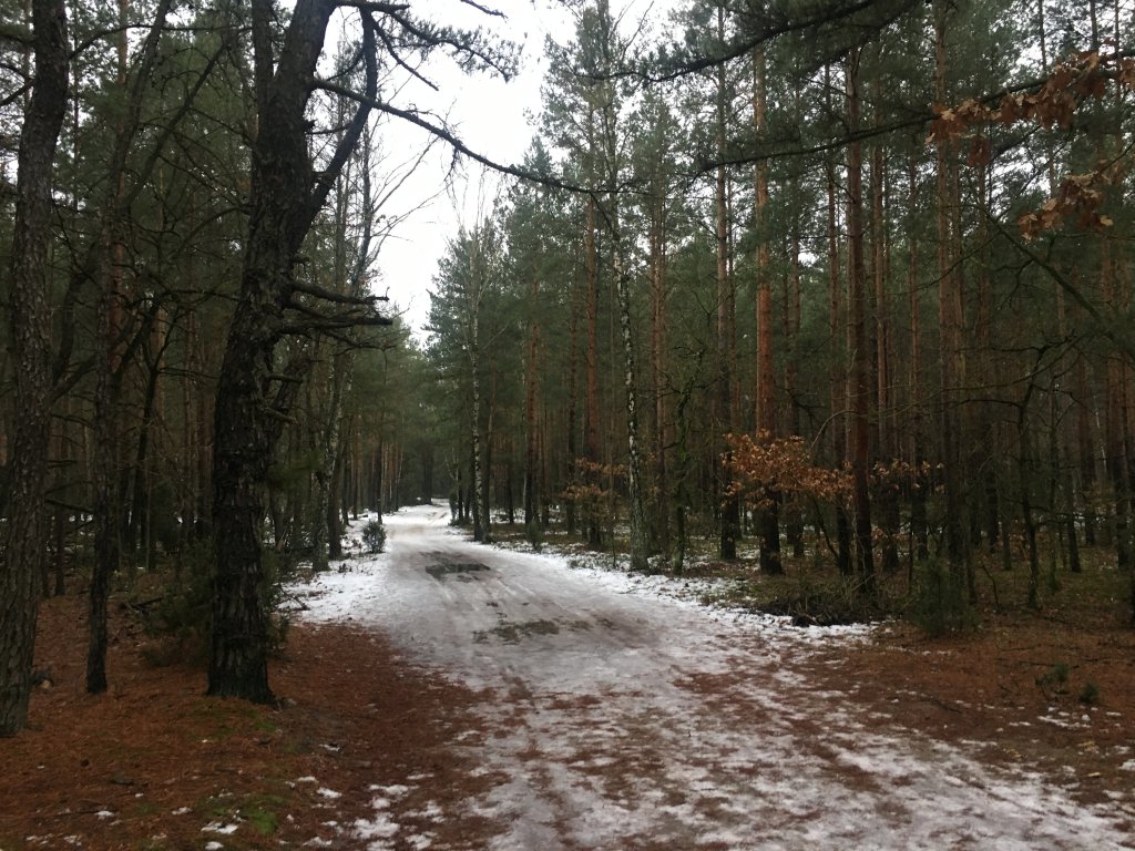 Wewntrzny rodzic