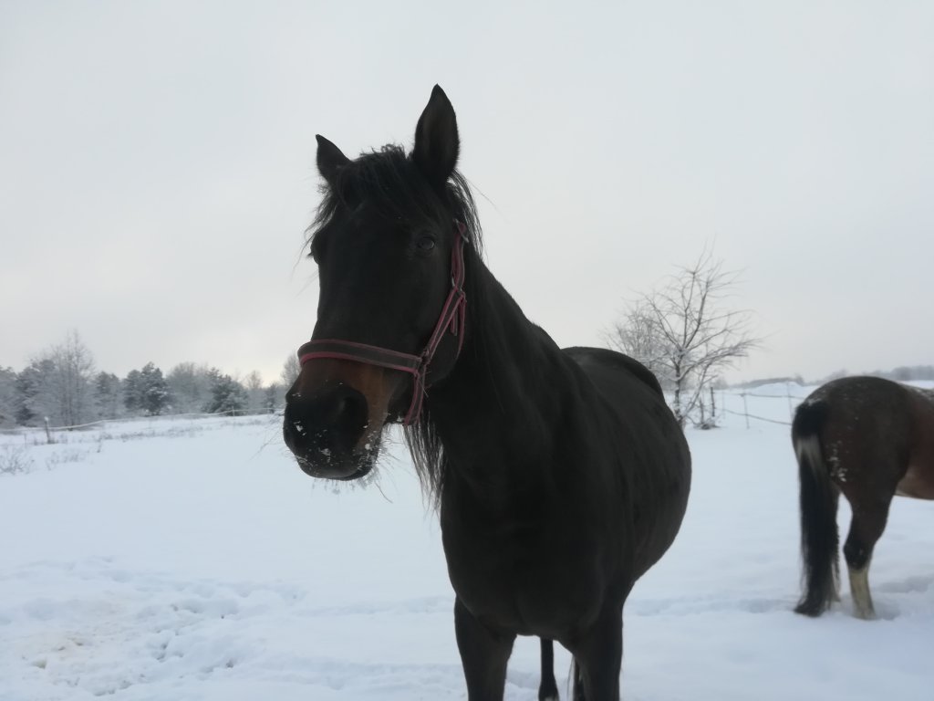 Zima :) 