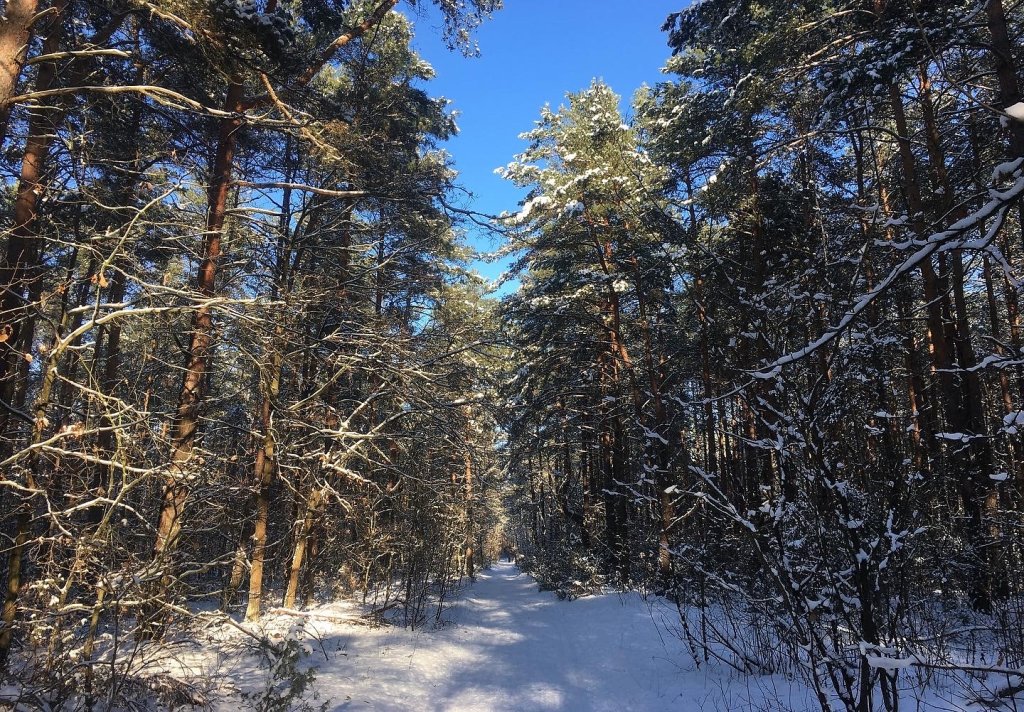 15k full winter