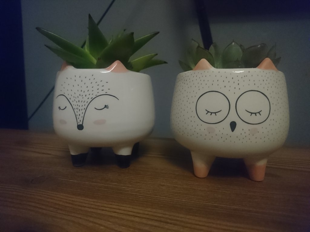 (-: