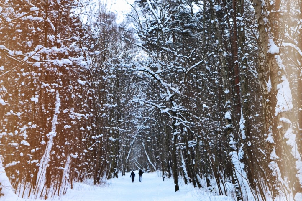 snow hey oh