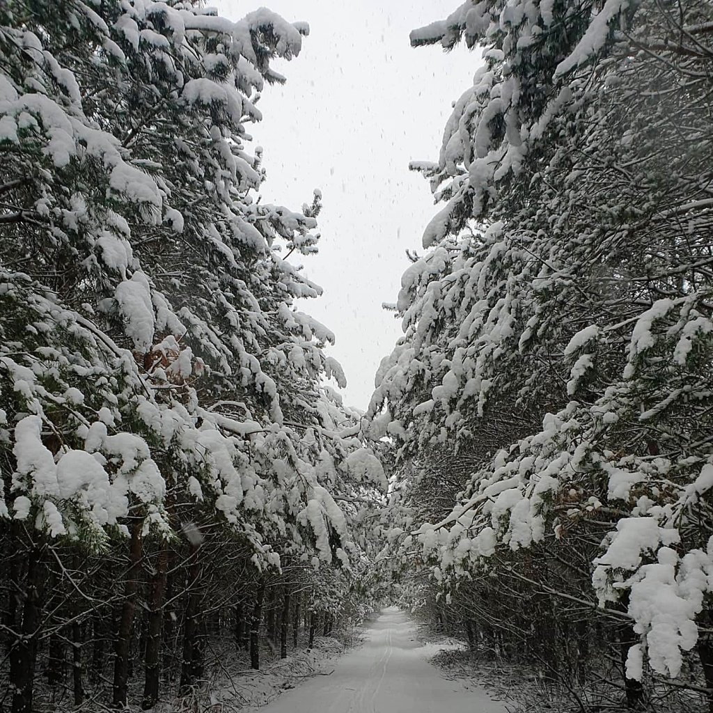 Zimowe uroki...