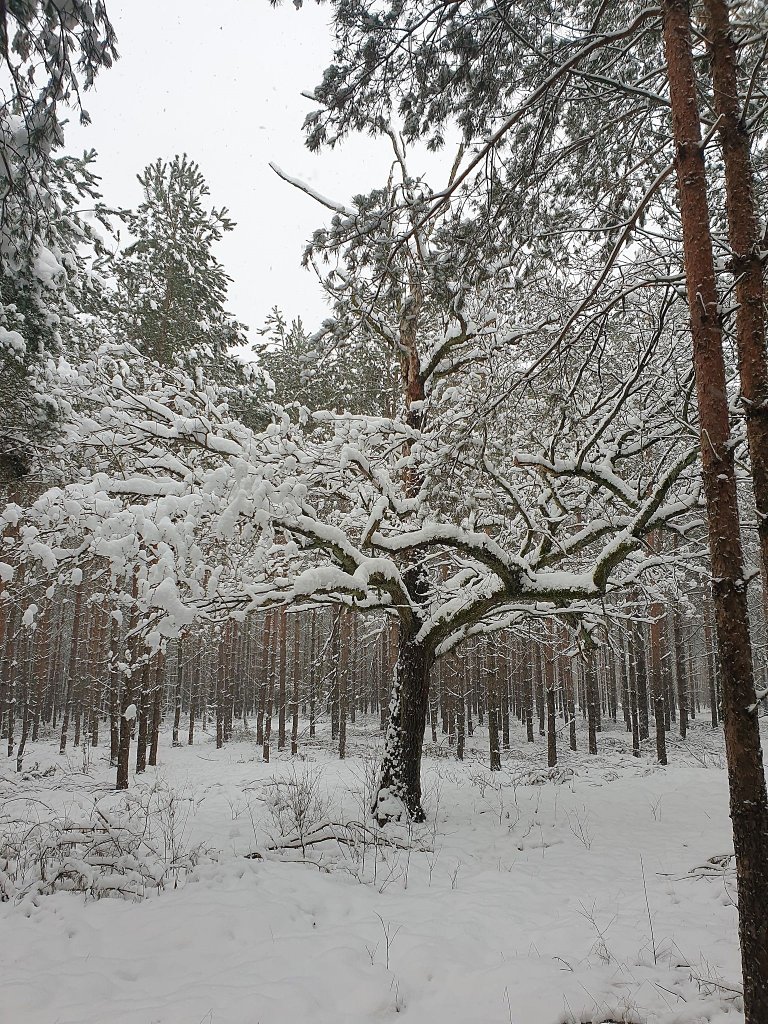 Lubi takie klimaty!