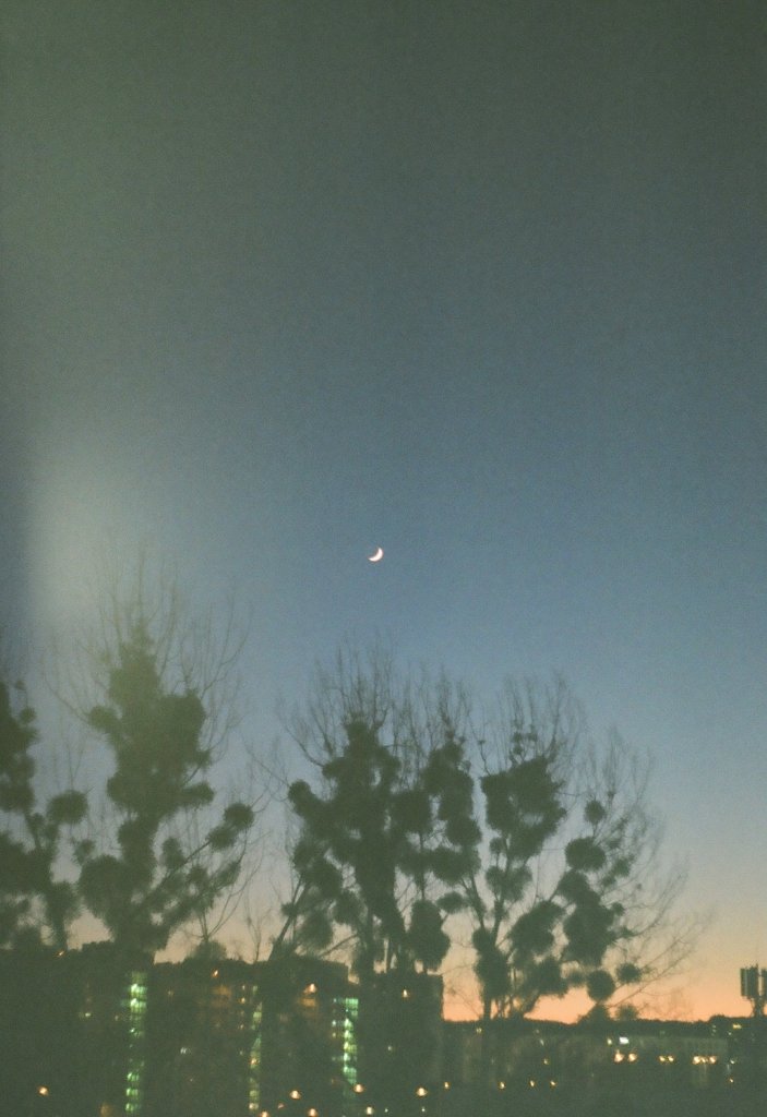 blinded by the lights