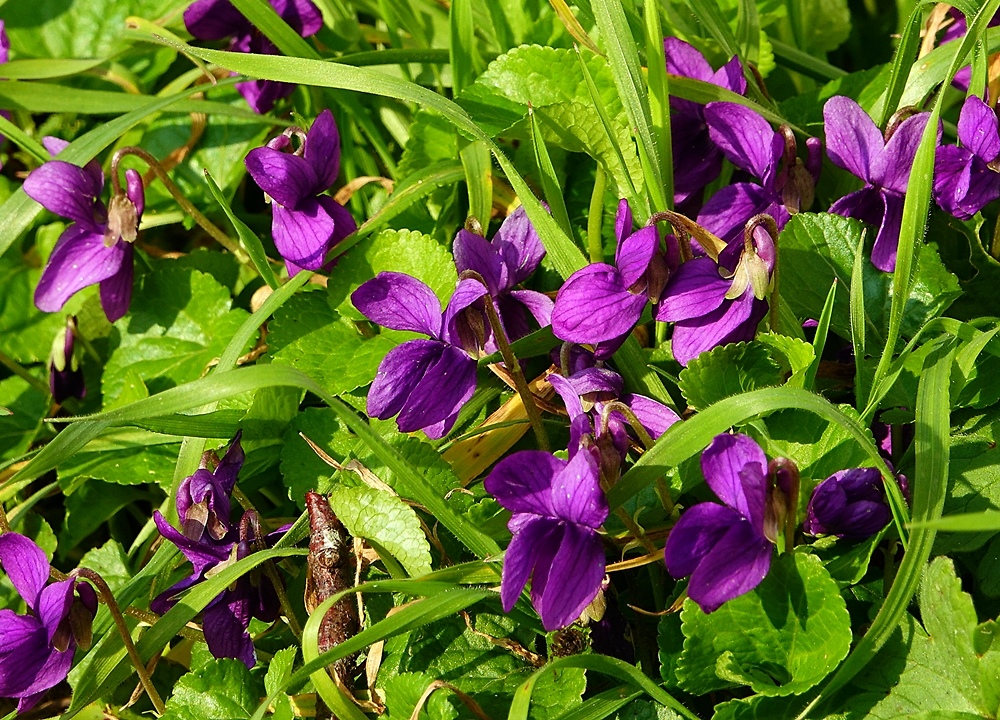 dzisiaj