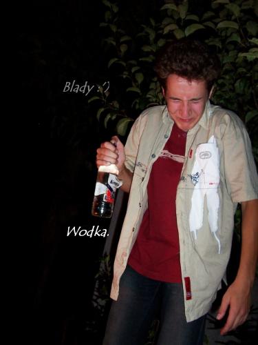 Wpis blady