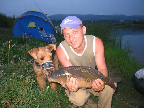 Wpis carpman