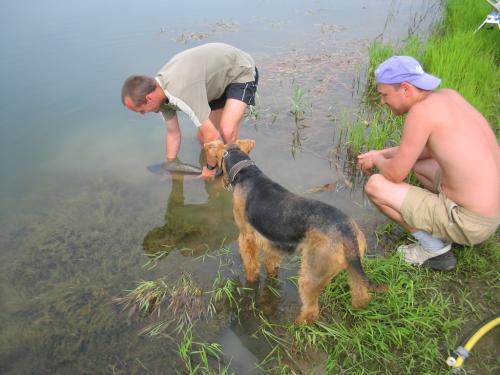 Wpis carpman