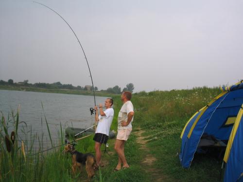 Wpis carpman