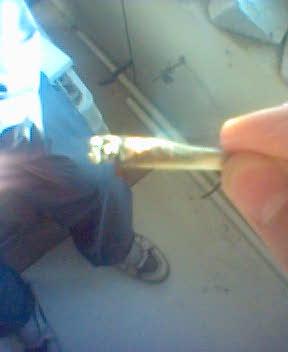 Wpis kannabist