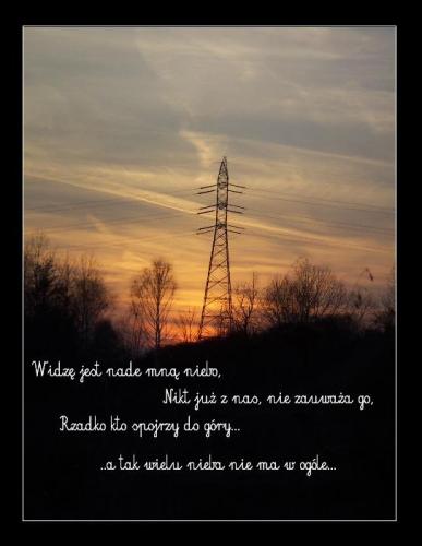 Wpis sauvagerie
