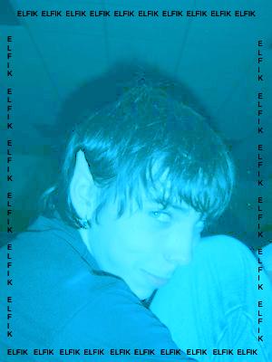 Wpis sebastianek