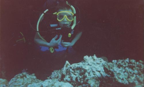 Wpis polo86