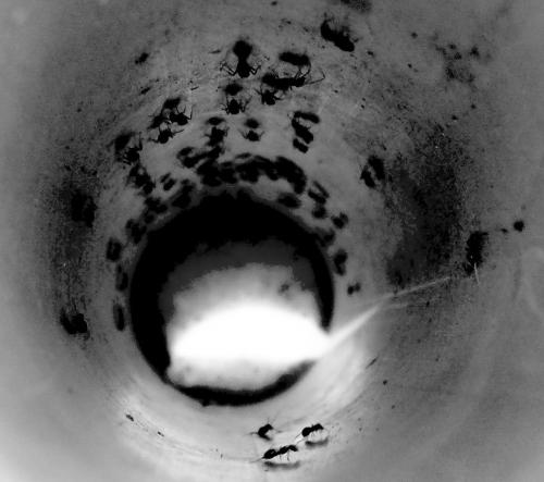 Wpis singlewaterdrop
