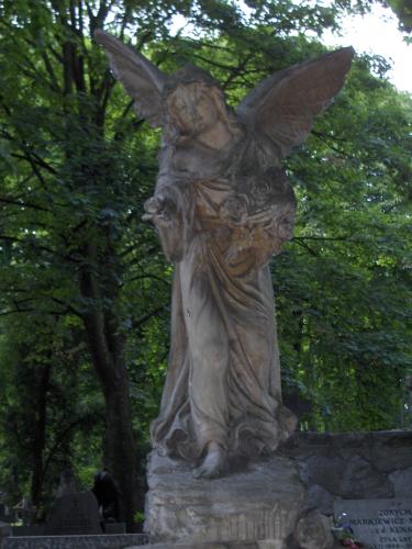 Wpis whitebutterfly