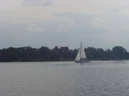 Wpis dominik