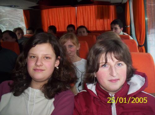 Wpis agulek