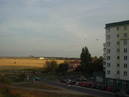 Wpis dominik