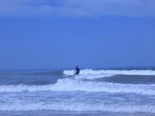 ocean ( Francja, okolice Bordo )