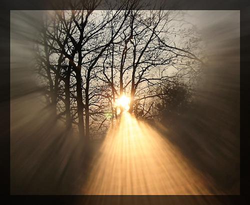 Wpis kwiatmojegoserca