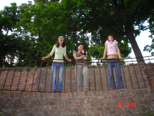 Wpis friendsi