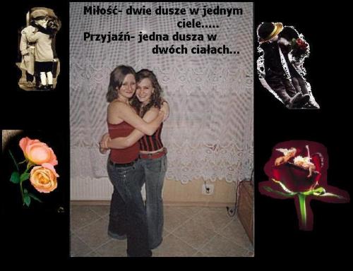 Wpis motyl1990