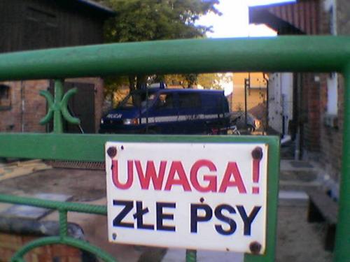 Wpis woytek