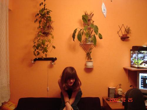 Wpis daisy93